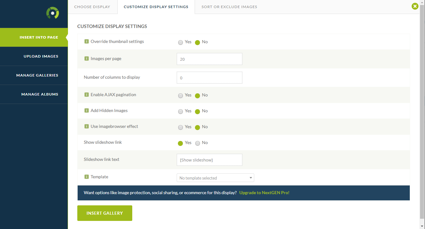 NextGEN Gallery's custom display settings.