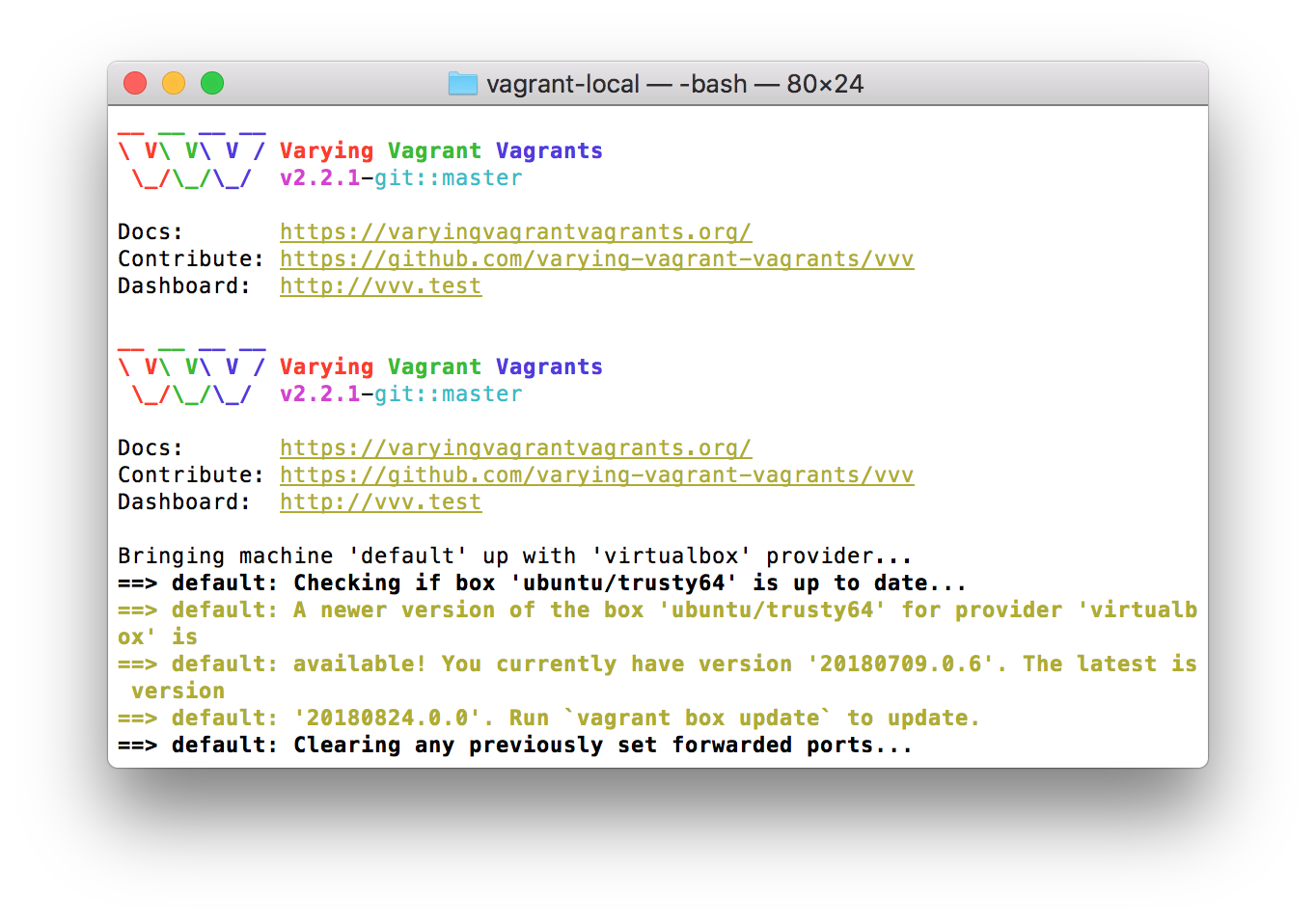 Using the vagrant up command.