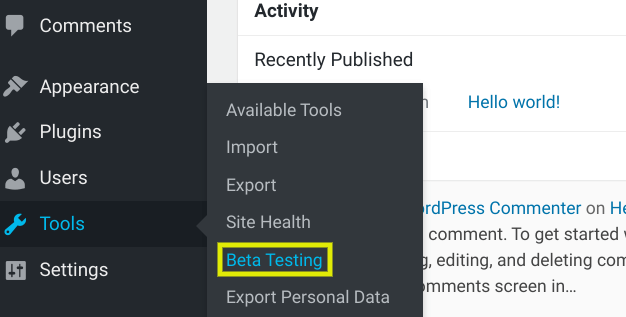 WordPress Beta Testing settings.