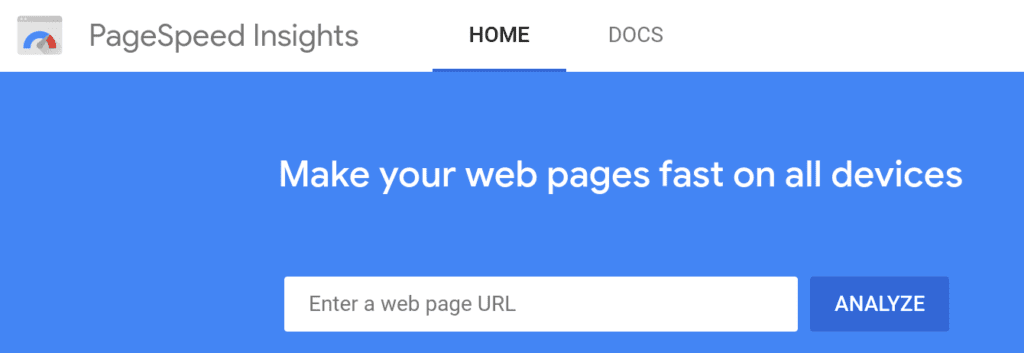 Google PageSpeed Insights homepage.