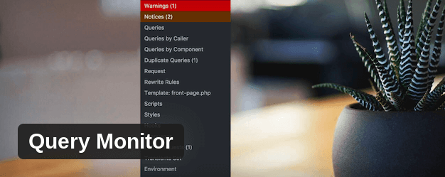 Query Monitor plugin for WordPress.