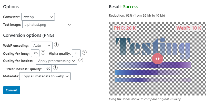 A WebP conversion test.