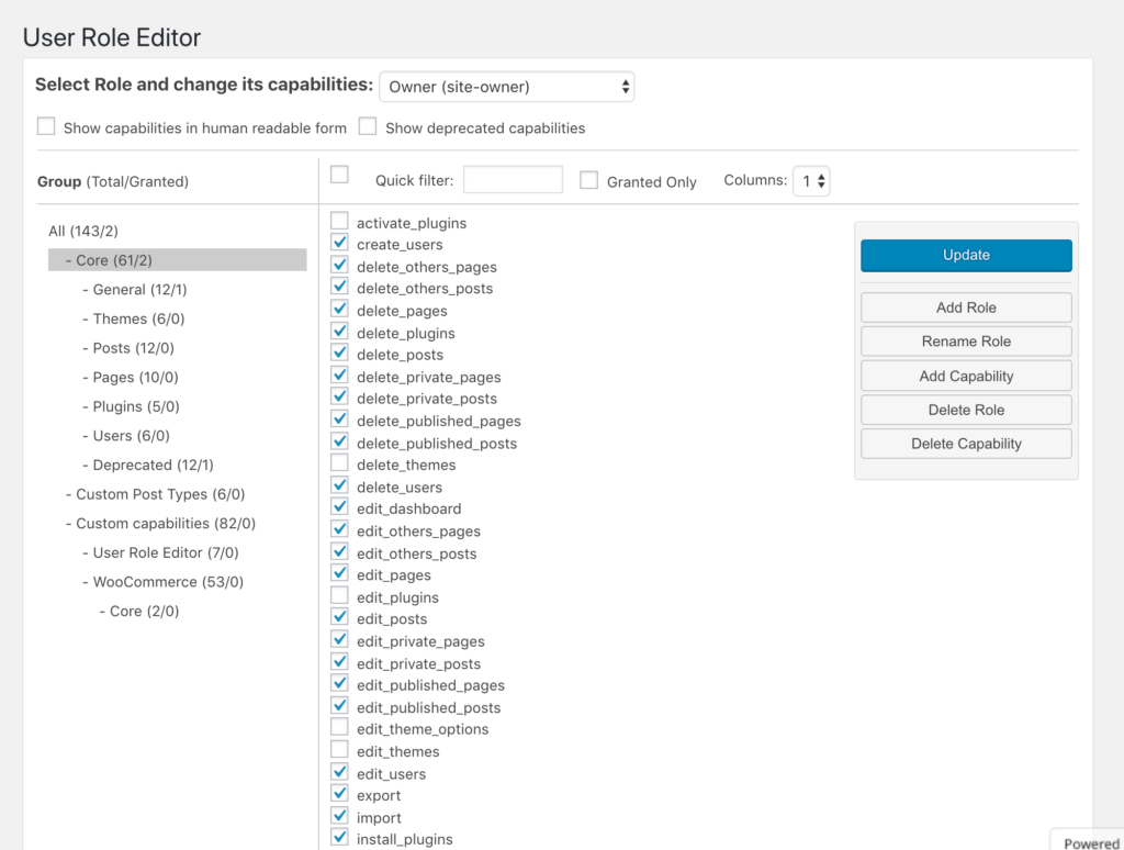 Selecting user role permissions for the custom Owner role.